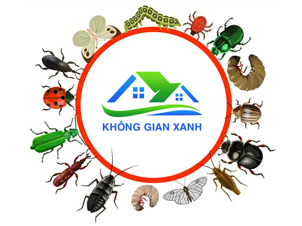 Diệt côn trùng Không Gian Xanh