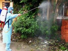 Dịch vụ phun diệt muỗi nhà cửa định kỳ tại Thanh Hóa