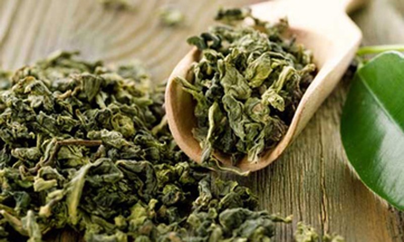 đuổi muỗi từ bả chè