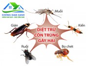 Vì sao nên lựa chọn dịch vụ diệt côn trùng tại Không Gian Xanh