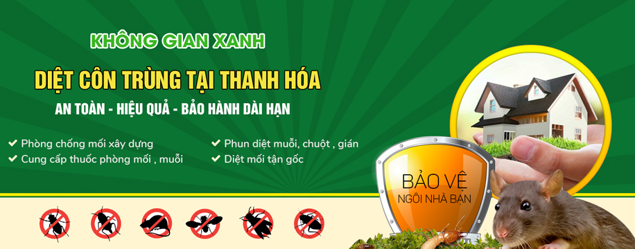 Banner diệt côn trùng tại Thanh Hóa