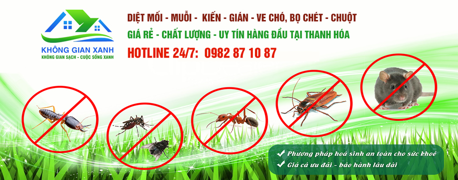 Diệt côn trùng: mối, muỗi, kiến, gián, bọ chét, chuột tại Thanh Hóa